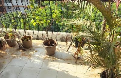 3 BHK - Baner Pune